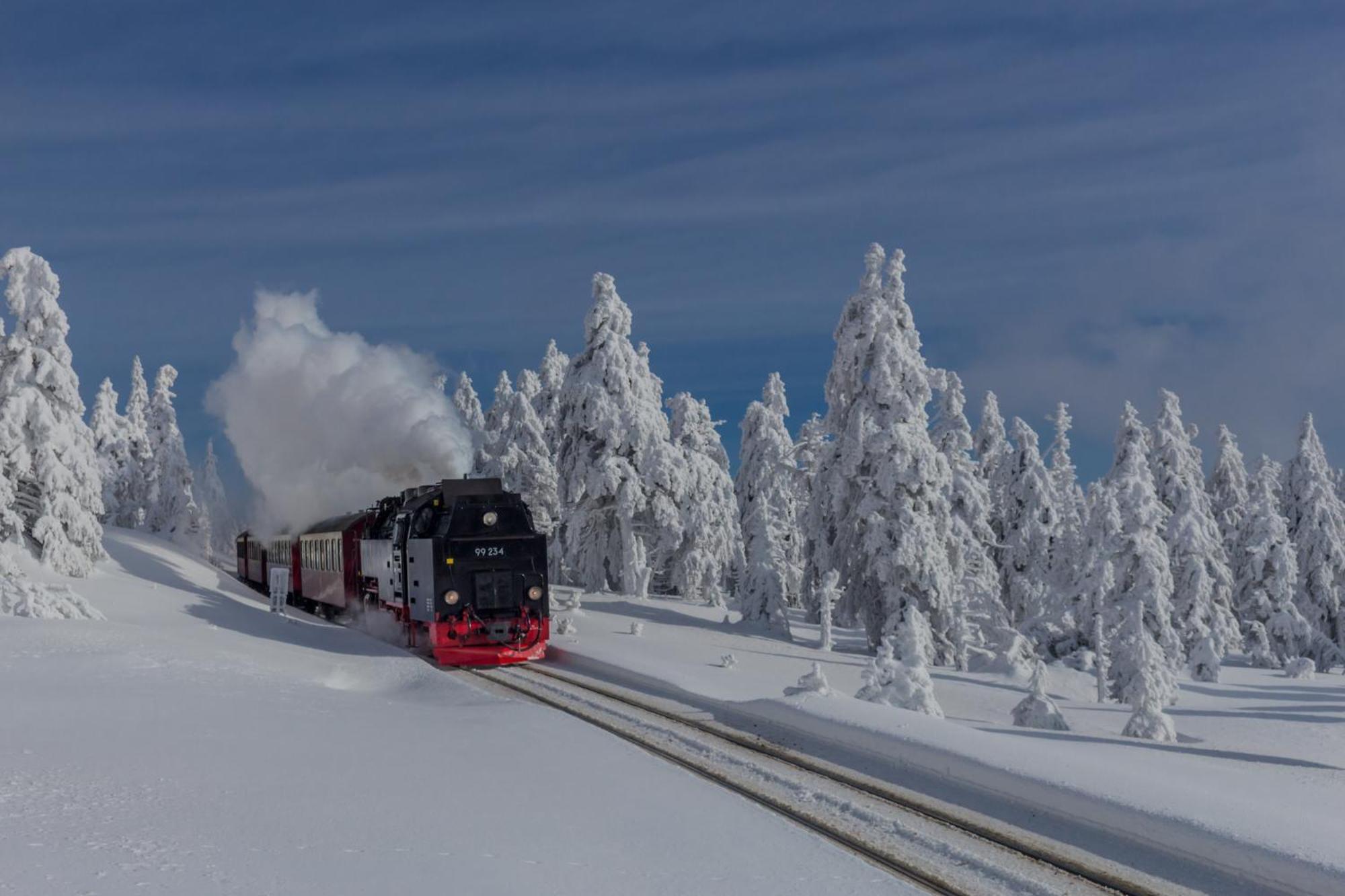 Fewo Schloesschen #Innenstadt#Garten#Ruhige Lage Von Harztraveler Wernigerode Luaran gambar